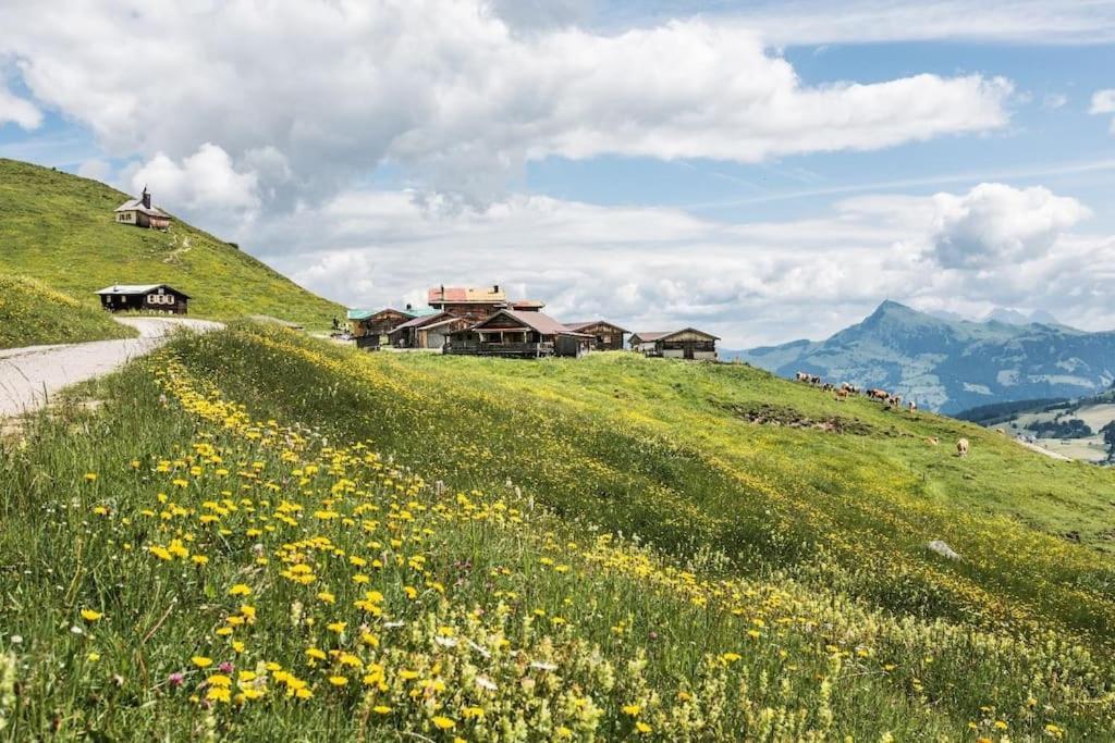 Almhuette In Kirchberg In Tirolヴィラ エクステリア 写真